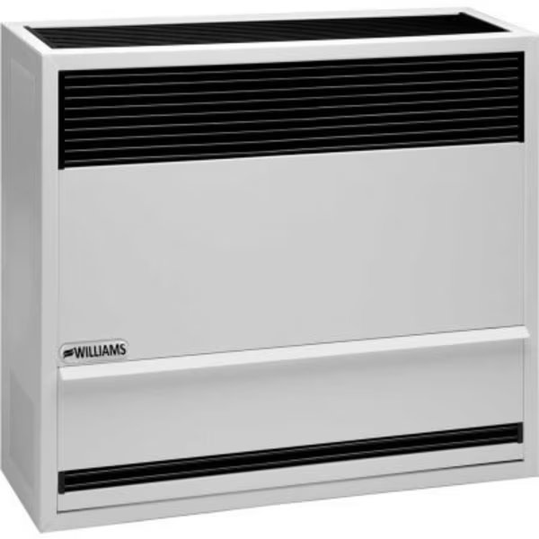 Williams Direct-Vent Gravity Furnace Propane 30000 BTU, Williams Furnace Co., Mfr#: 3003821